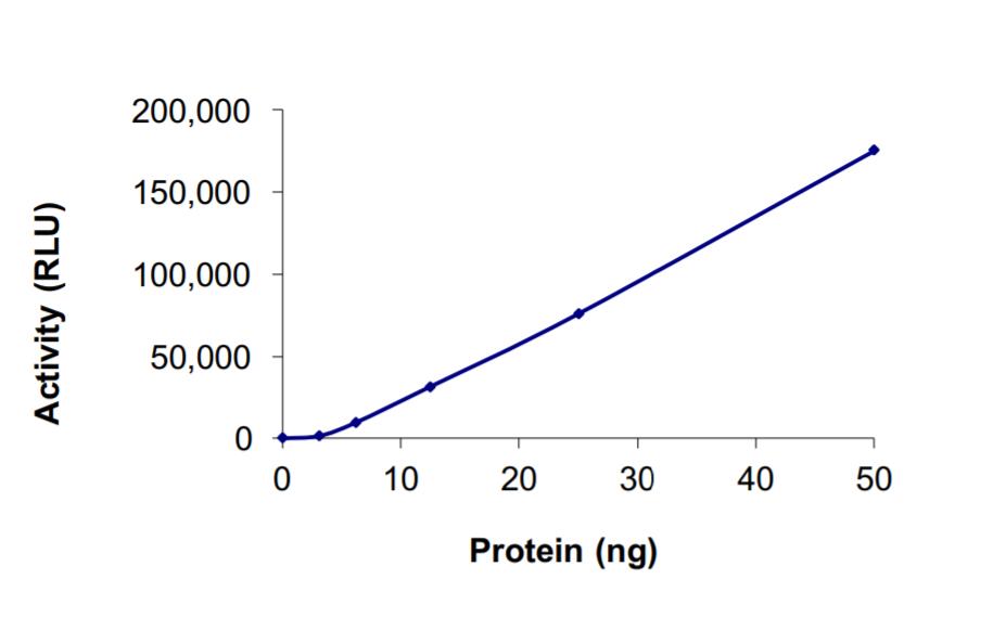 The specific activity of ALK (L1196M G1202R) was determined to be 18 nmol/min/mg as per activity assay protocol, and was equivalent to 28 nmol/min/mg as per radiometric assay.